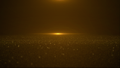 ���׹ٷ�-��������������ƫ��